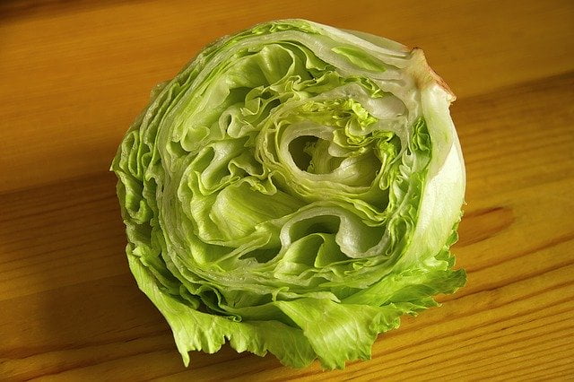 Lechuga iceberg.