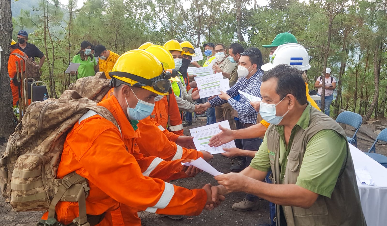 Amigos mUnicipales Forestales 