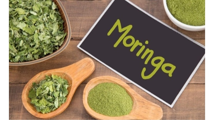 Beneficios de consumir moringa 