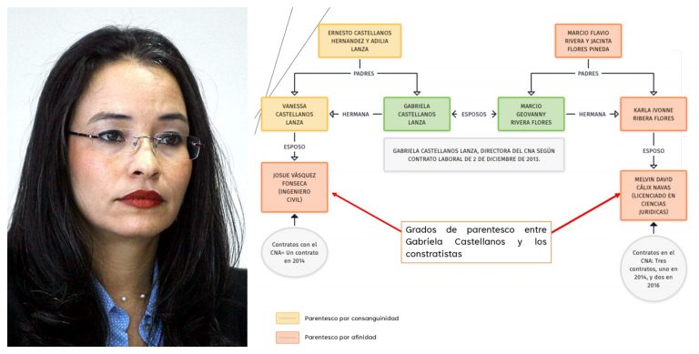 denuncian a gabriela castellanos cna