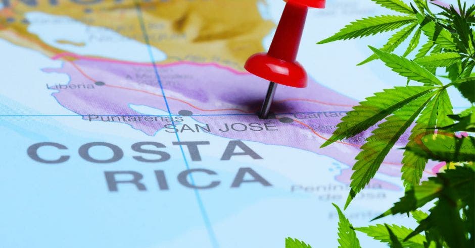 Costa Rica legaliza Marihuana