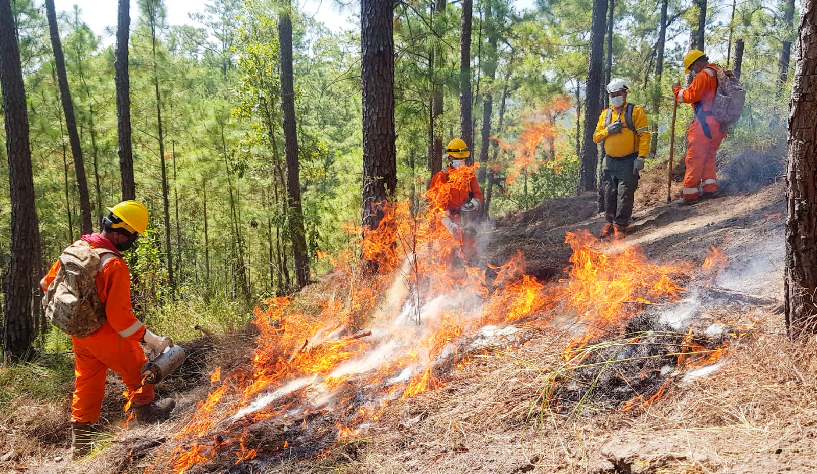 Simulacro de incendio 