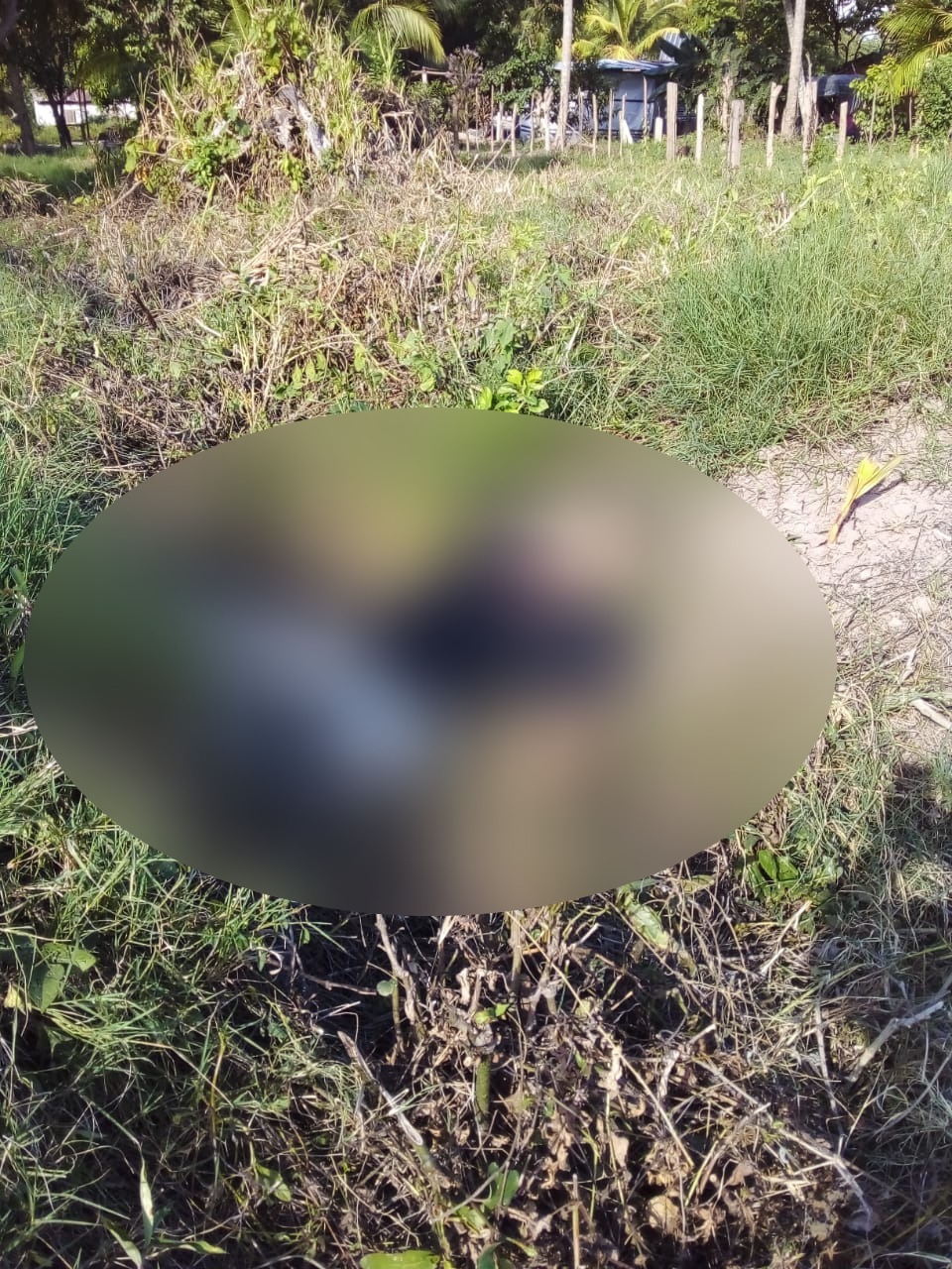 Muertos en La LIMA