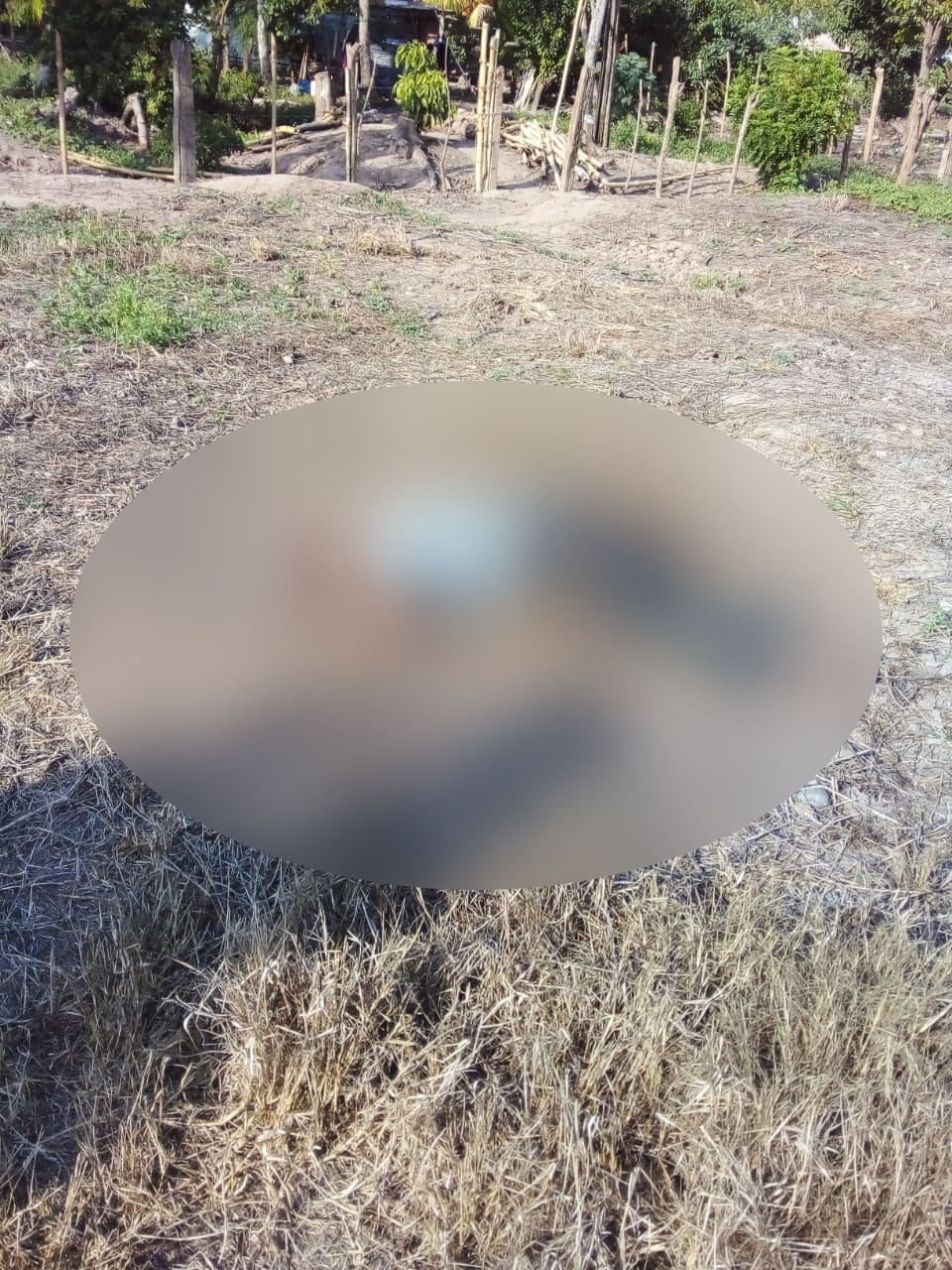 Muertos en La Lima