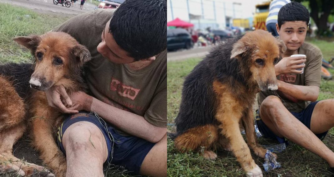 Joven que recató perro La Lima Eta