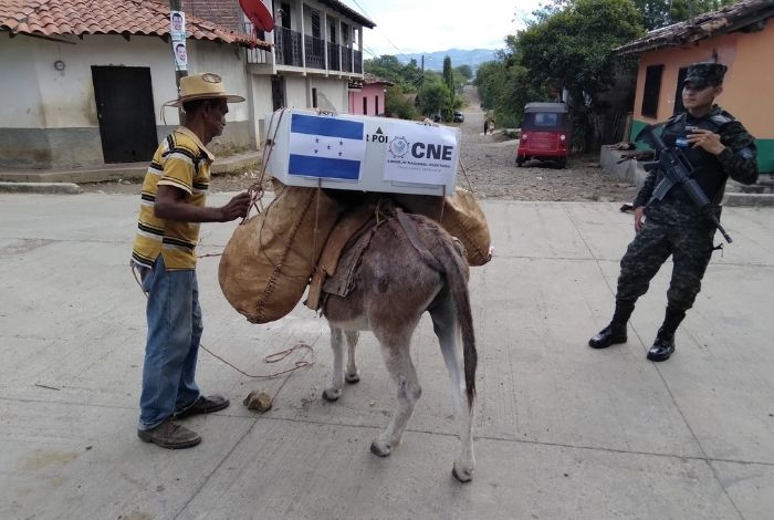 Asno transportando maletas electorales