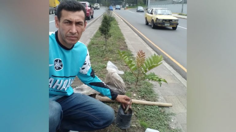 Don Javier planta árboles