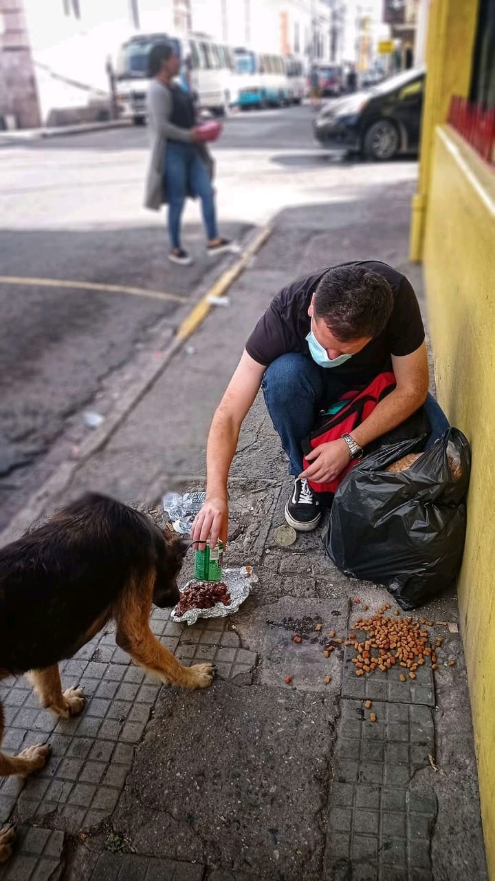 Enersy es un amante de los animales desde toda su vida.
