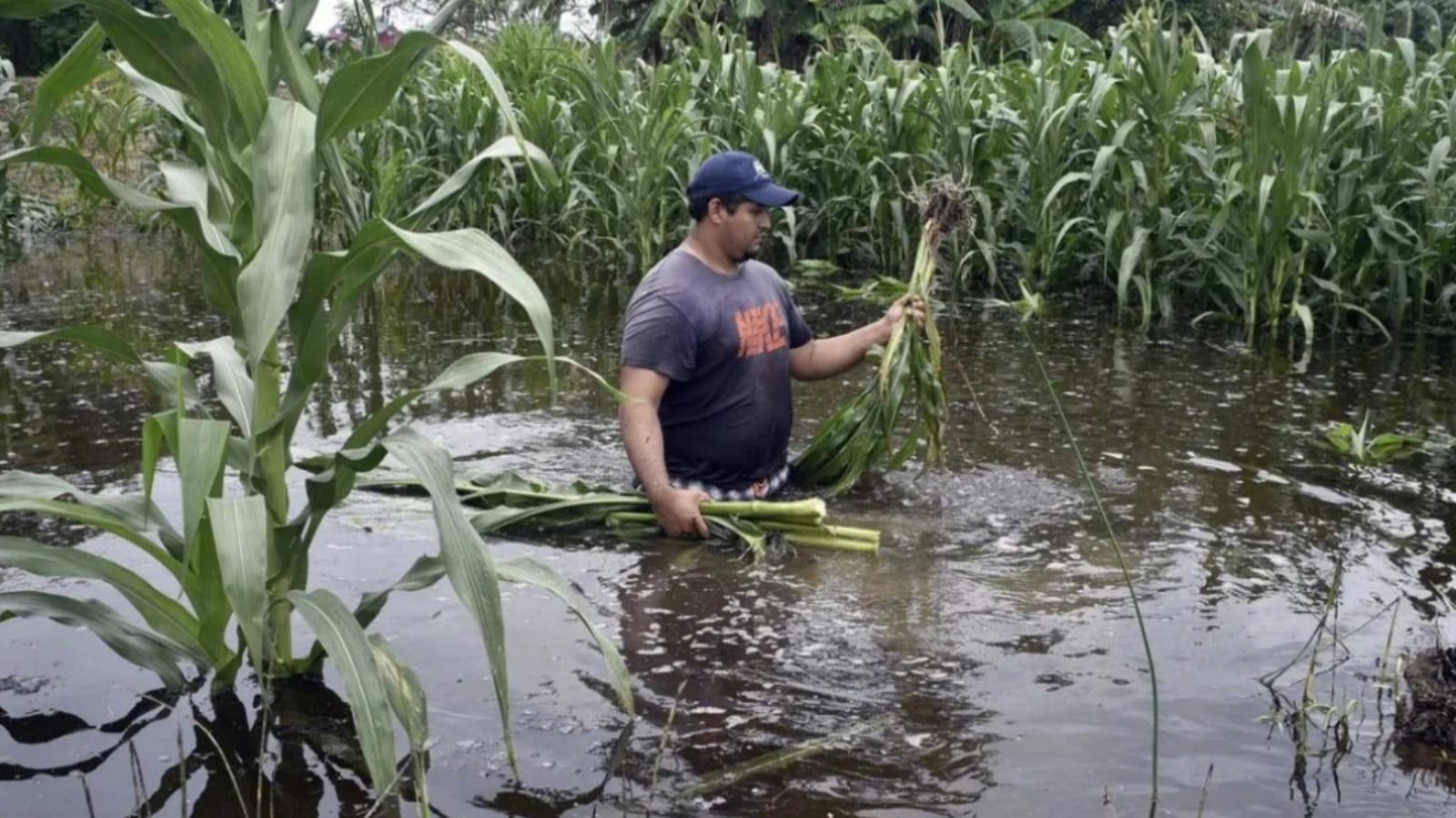 Inundaciones