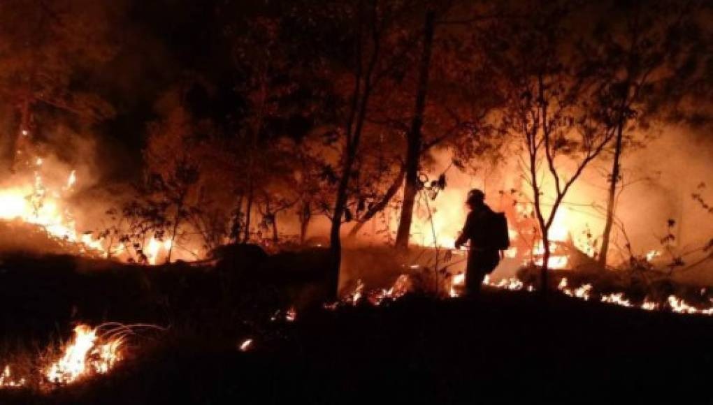 Valle parque incendio