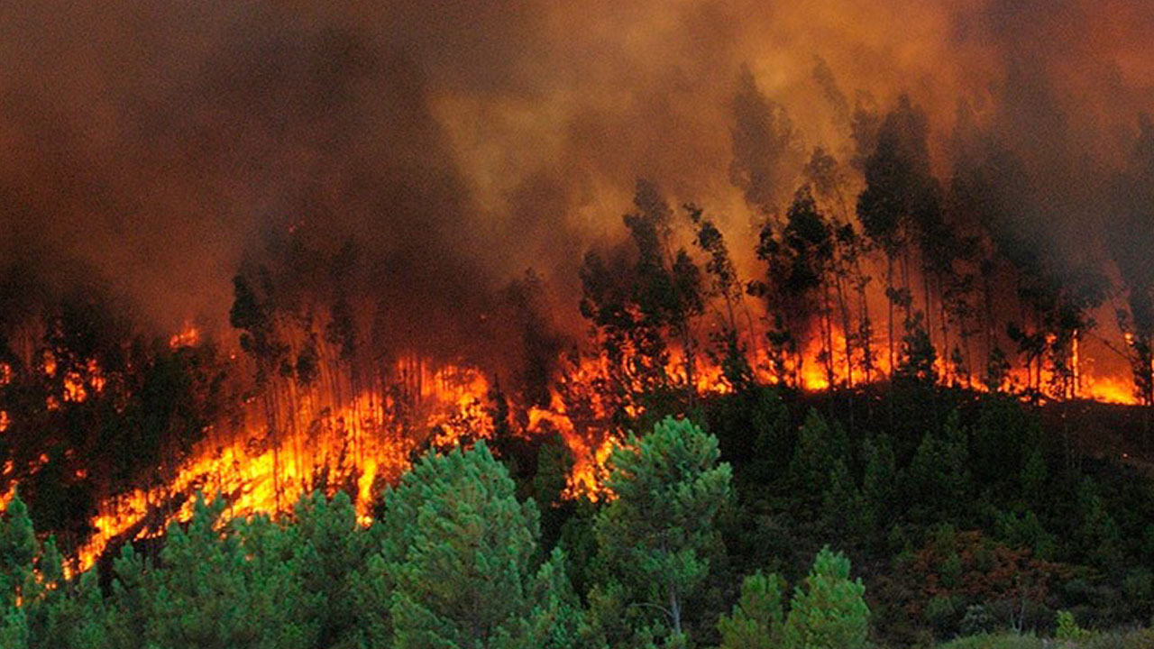 Incendios en Honduras 