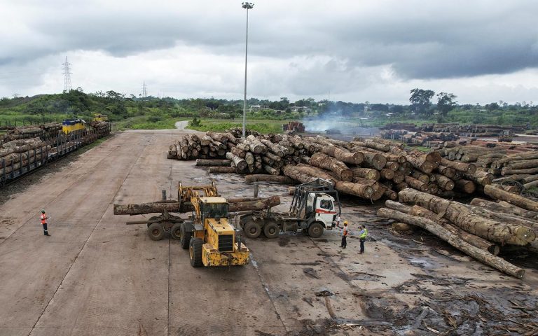 deforestación cop26