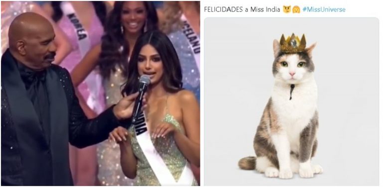 Memes de miss India maullando