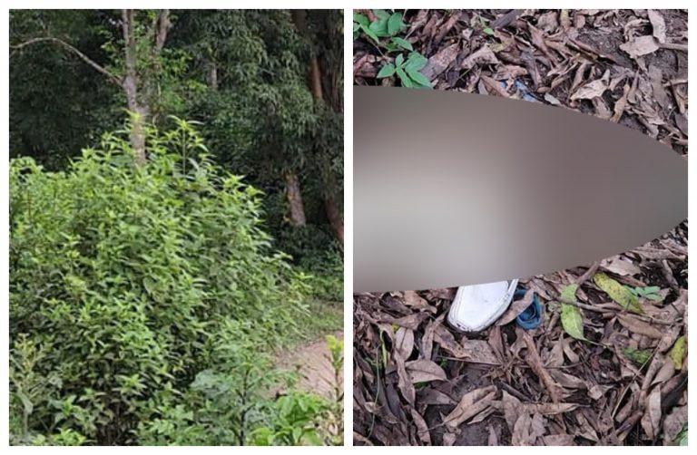 Hombre muerto en Copán.