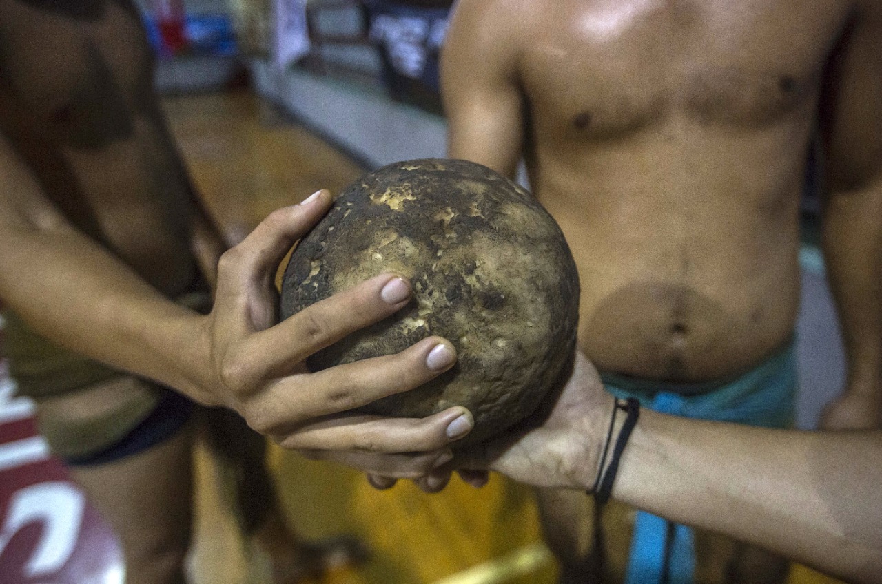 JUEGO DE PELOTA MAYA 