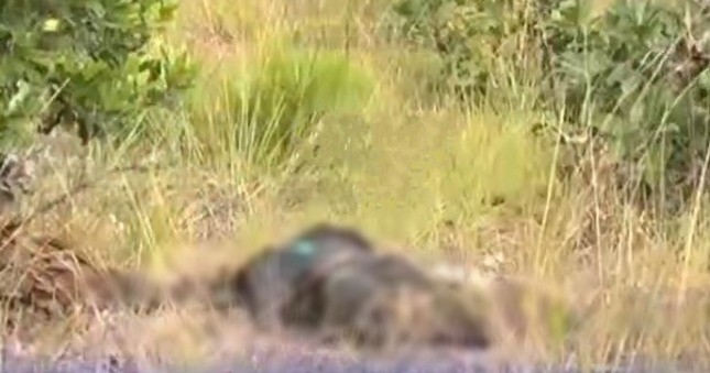 cuerpo putrefacto en brisas del oriente