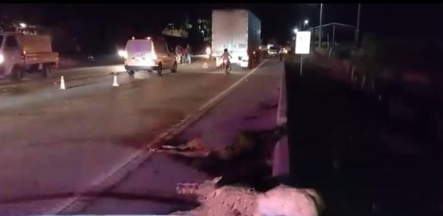 accidente vial deja tres caballos muertos