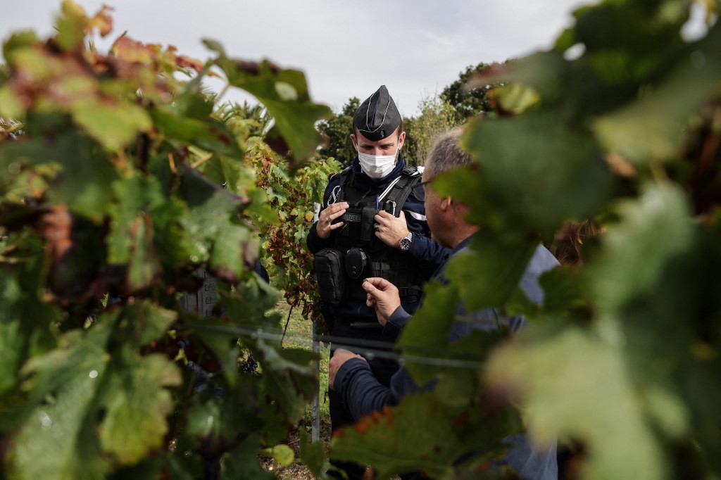 ladrones de vino en Burdeos