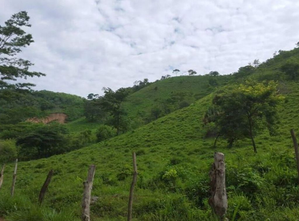 nueva masacre Olancho 