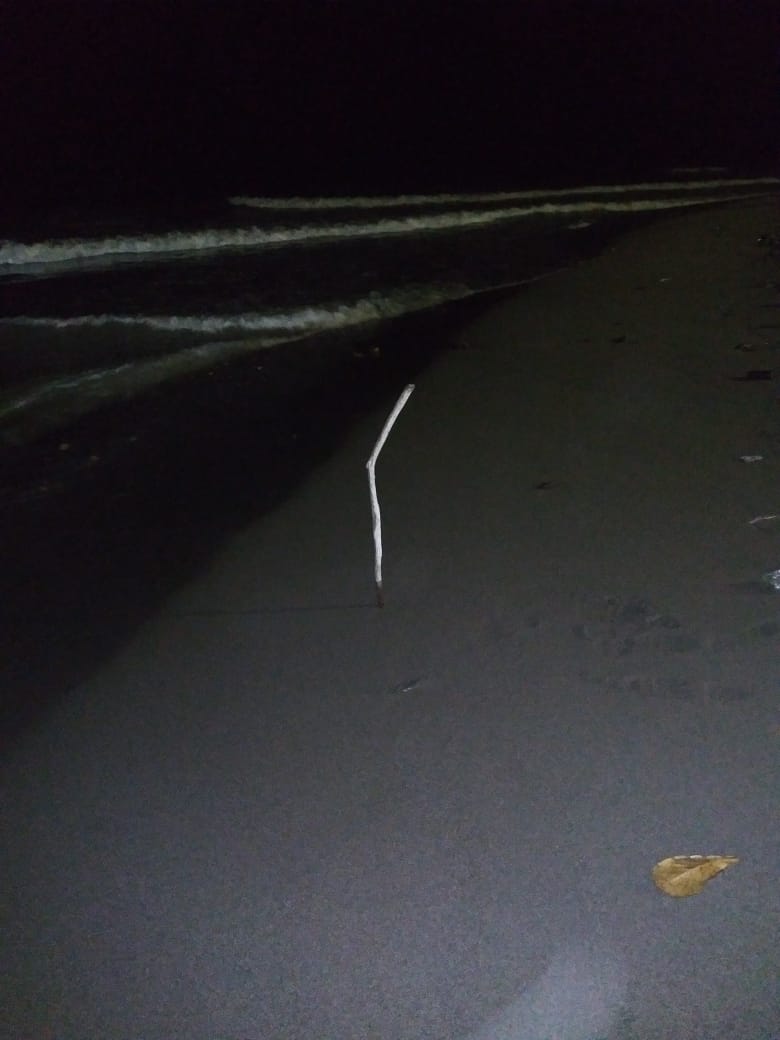 Los bomberos hicieron pruebas para determinar que el mar se había alejado.