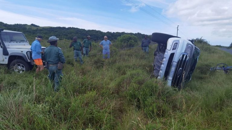 elefante enfurecido vuelca vehículo