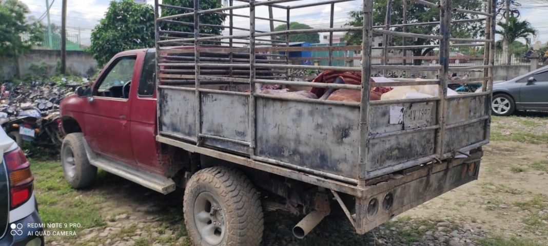 Decomisan carne de caballo
