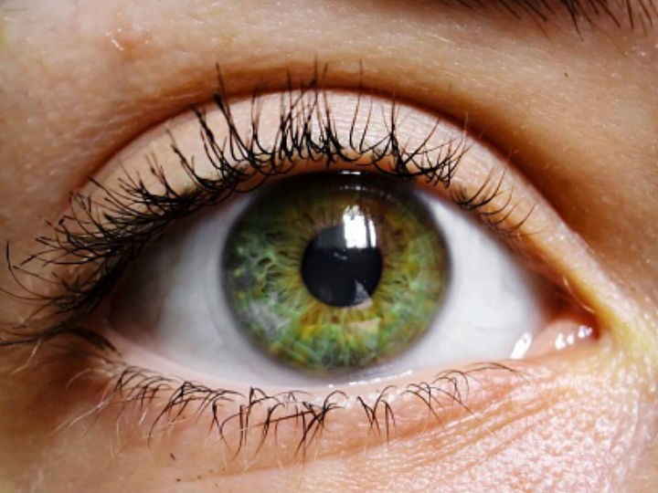 Ojos verdes y mixtos