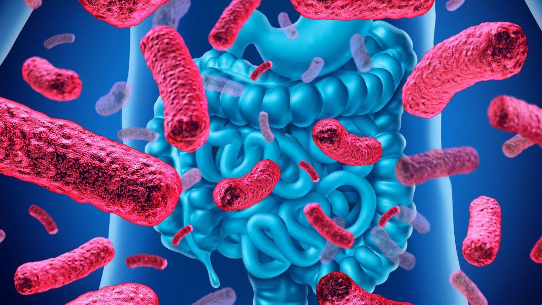 Microbioma intestinal