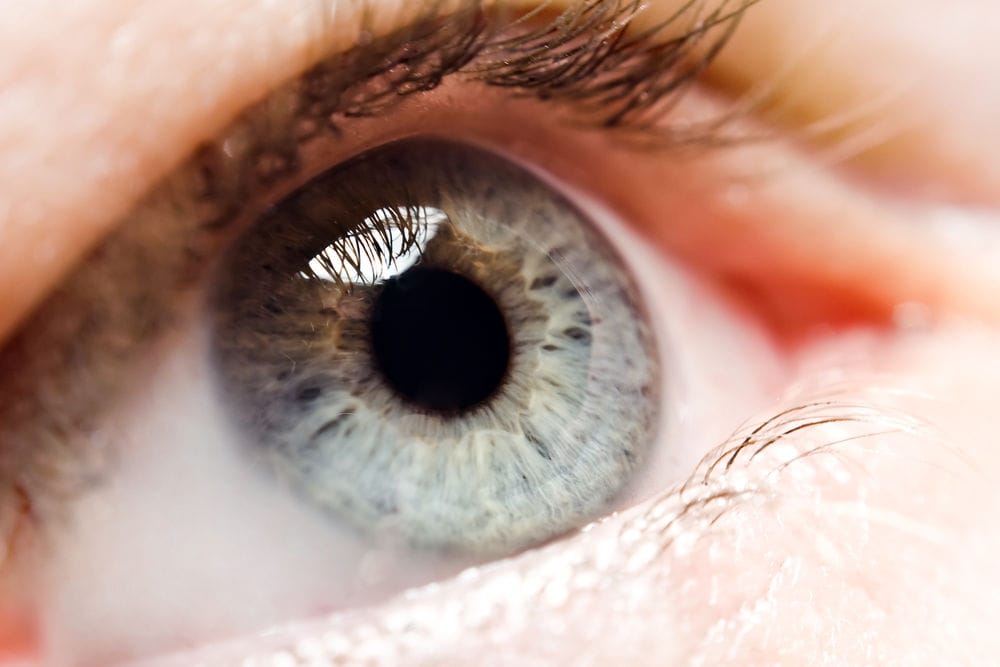 Ojos azules y grises