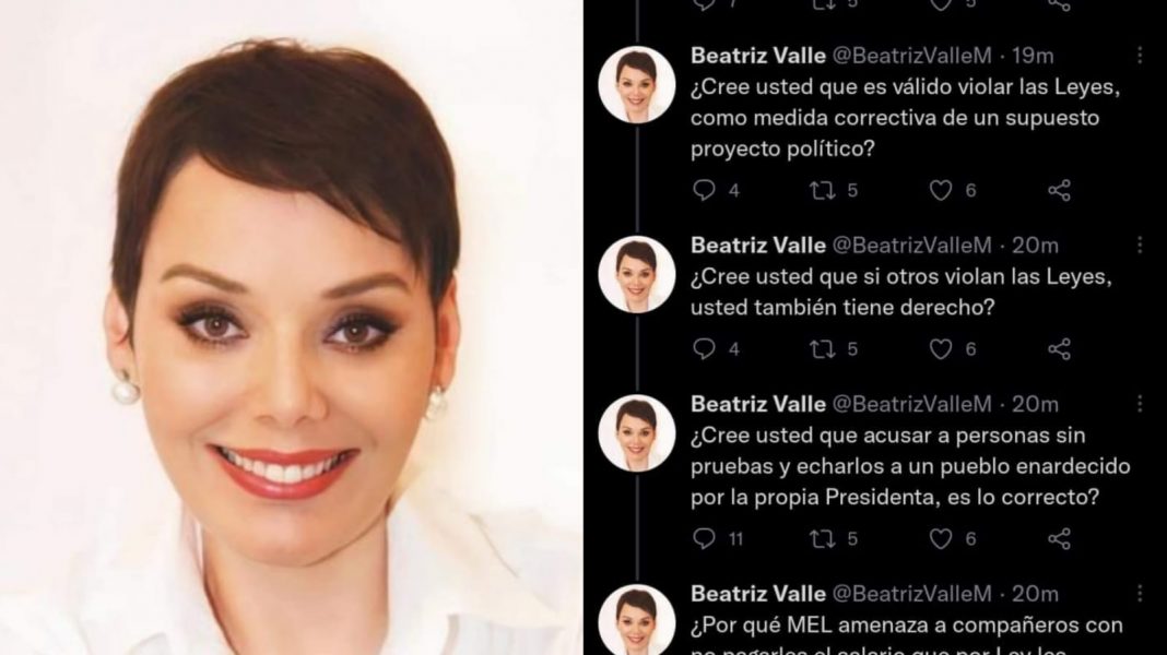 Beatriz Valle