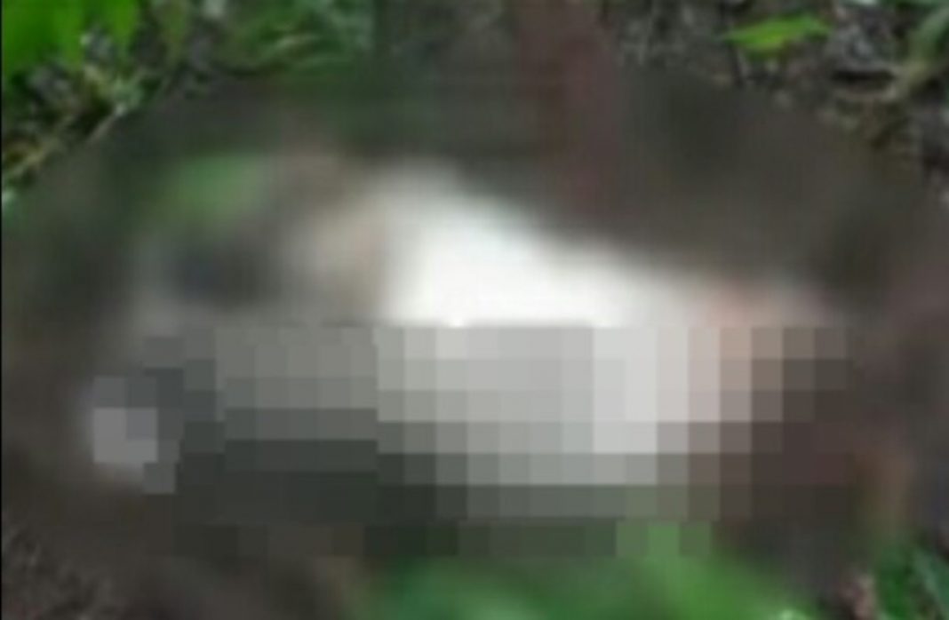 hombre encostalado en Santa Bárbara