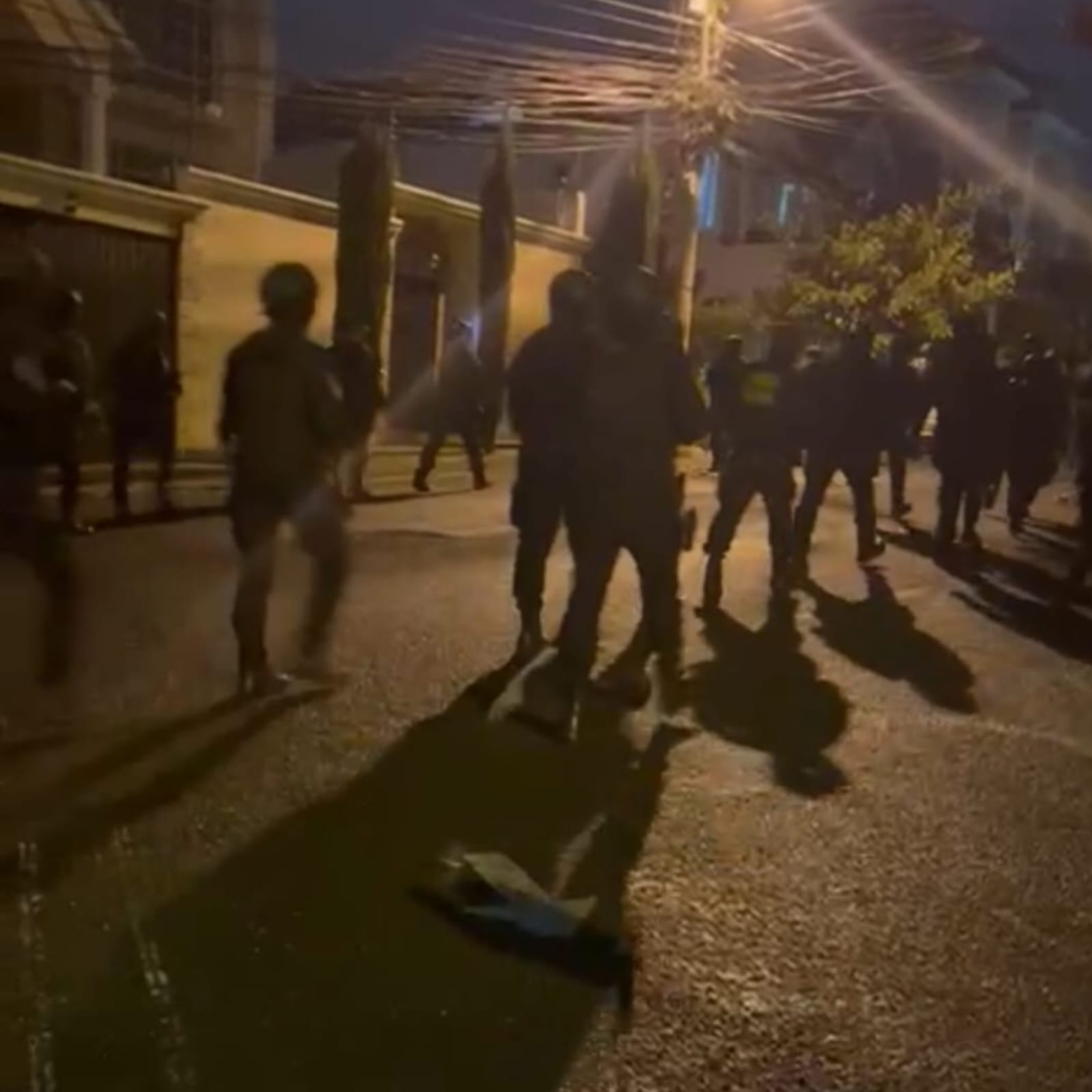 Miembros policiales