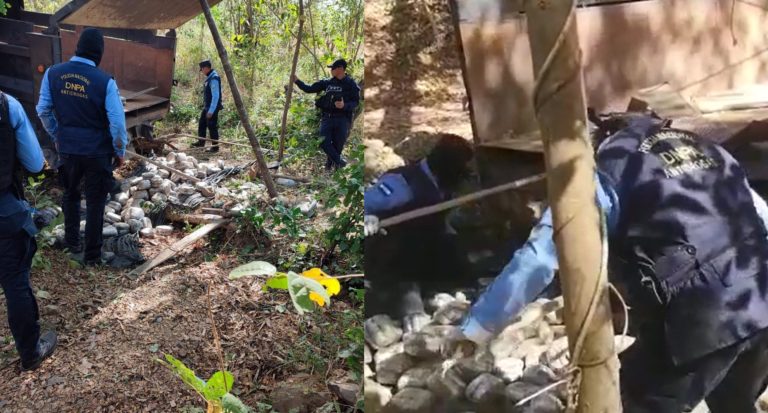 Marihuana volqueta Choluteca