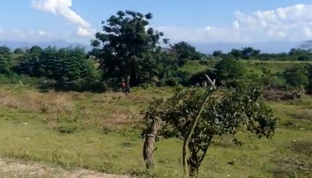 cadáver en La Lima