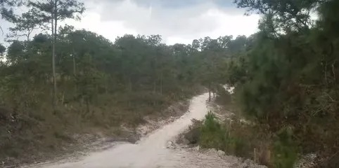 matan hombre en El Paraíso