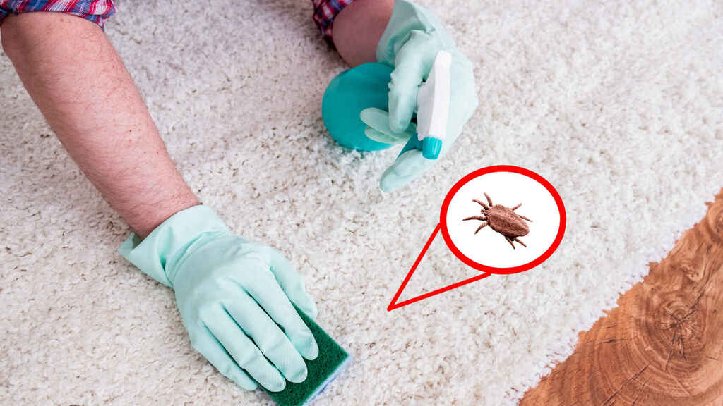 alergia a los ácaros