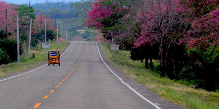 corredor agrícola