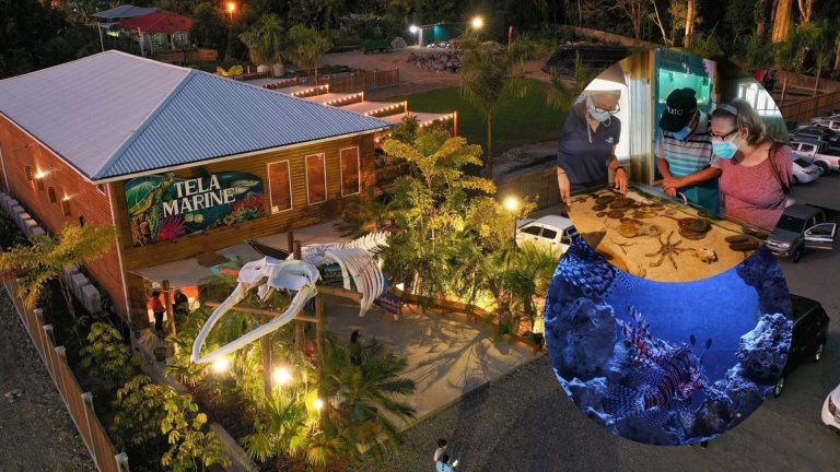 acuario Tela Marine en Semana Santa