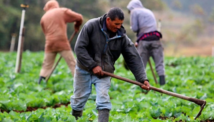 SICA, alertó que para el segundo semestre de 2022, 2.6 de hondureños estarán en emergencia alimentaria.