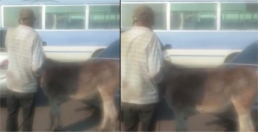 Hombre y burro paro transporte