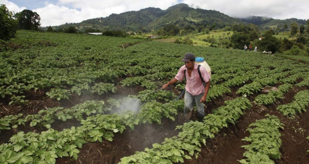 Productores piden bono agrícola