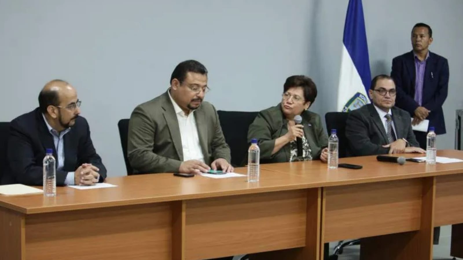 Comisión depuradora