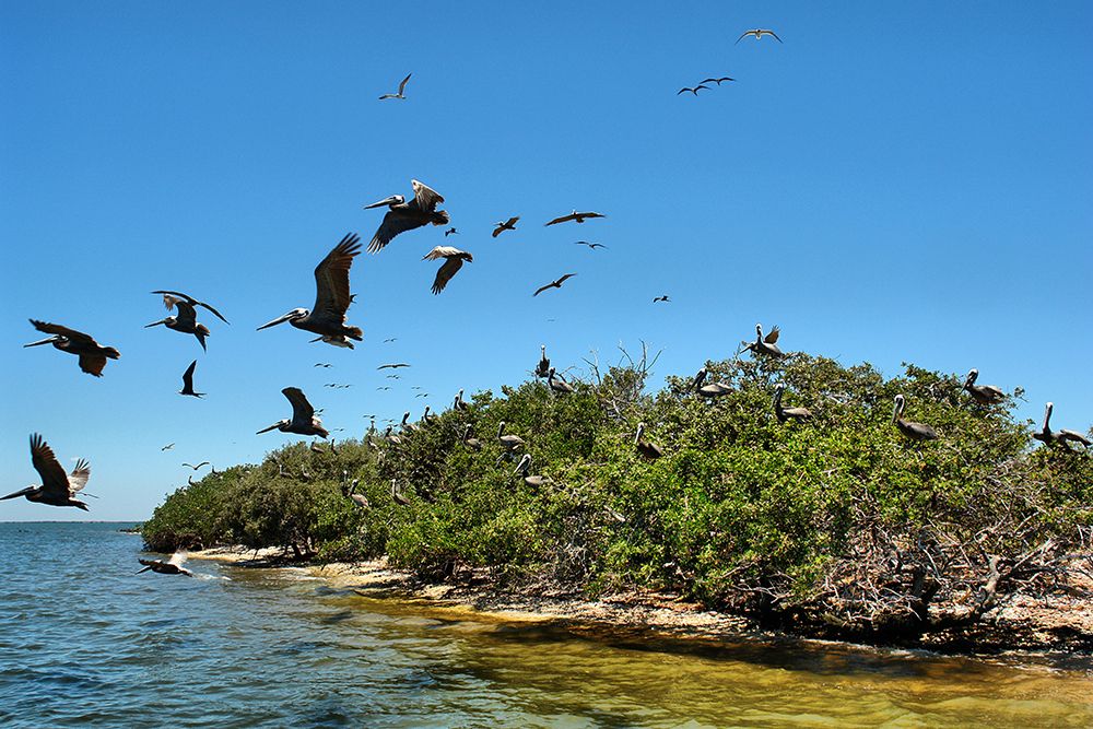 destinos favoritos visitar centro sur Honduras