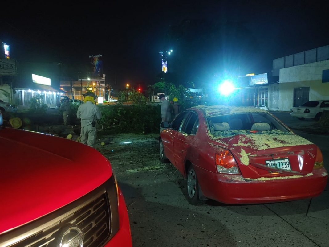 árbol cae sobre carro en SPS