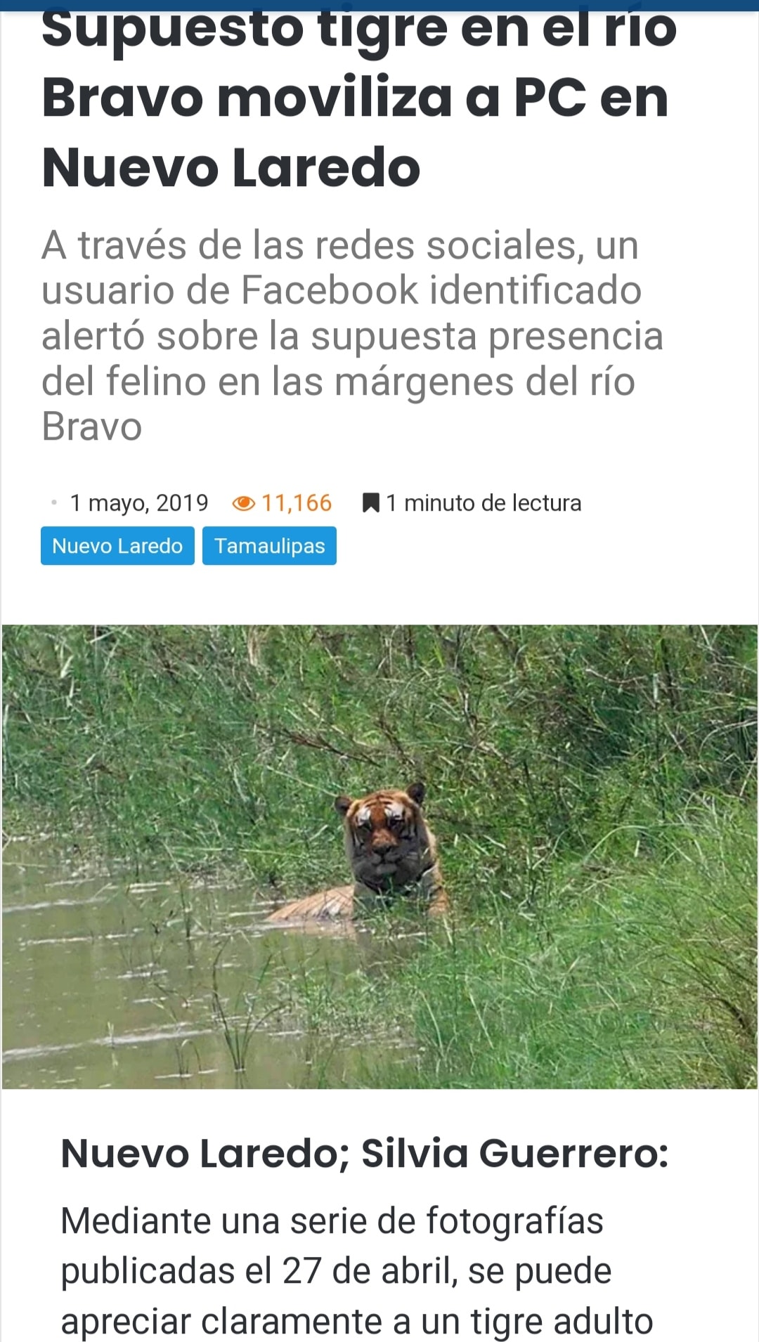 Tigre en río Ulúa 