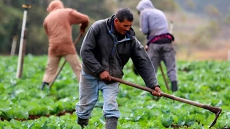 Crisis alimentaria