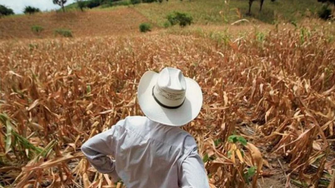 inseguridad alimentaria