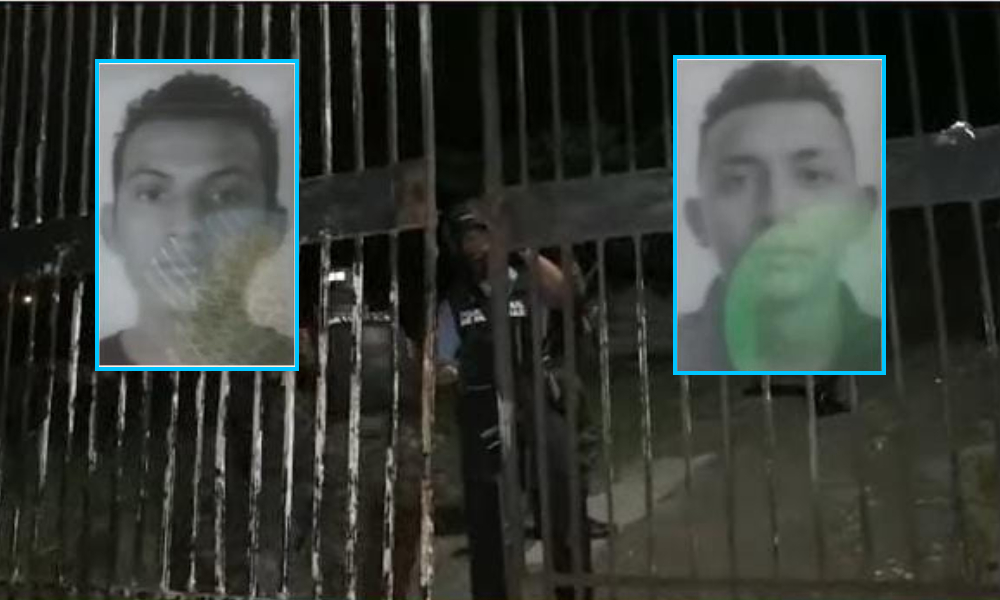 matan extorsionadores en campo