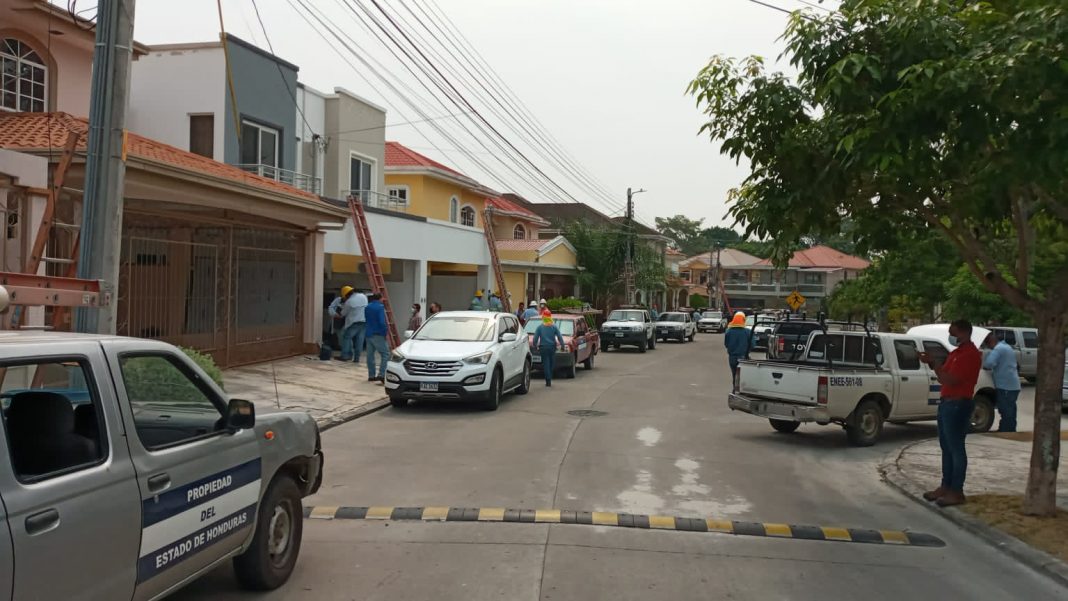 robo de energía en la foresta