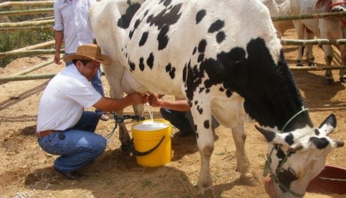 aumento al precio de la leche